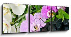 Obraz s hodinami 3D tdln - 150 x 50 cm F_BM50426664 - Wellness Concept: orchids, bamboo, stone, water