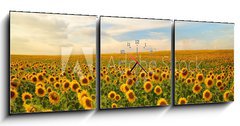 Obraz s hodinami 3D tdln - 150 x 50 cm F_BM50744660 - sunflowers