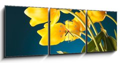 Obraz s hodinami   back of a gorgeous bouquet of yellow tulips, 150 x 50 cm