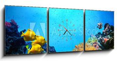 Obraz s hodinami 3D tdln - 150 x 50 cm F_BM52173106 - Underwater scene. Coral reef, fish groups in clear ocean water