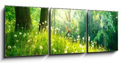 Obraz s hodinami   Spring Nature. Beautiful Landscape. Green Grass and Trees, 150 x 50 cm