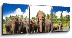 Obraz s hodinami 3D tdln - 150 x 50 cm F_BM53076772 - Elephant group in the river