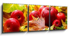 Obraz s hodinami 3D tdln - 150 x 50 cm F_BM5313769 - Harvest. Autumn still life with red apples and leaves