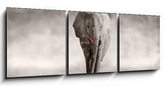 Obraz s hodinami 3D tdln - 150 x 50 cm F_BM53182375 - Elephant