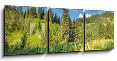 Obraz s hodinami 3D tdln - 150 x 50 cm F_BM53756433 - Nature of  green trees and blue sky, near Medeo in Kazakhstan