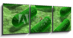 Obraz s hodinami 3D tdln - 150 x 50 cm F_BM53968782 - E coli Bacteria.