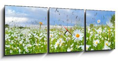 Obraz s hodinami   many chamomile flowers over blue sky, 150 x 50 cm