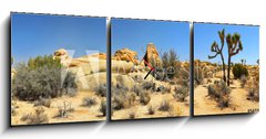 Obraz s hodinami 3D tdln - 150 x 50 cm F_BM54332730 - Joshua Tree