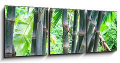 Obraz s hodinami   Bamboo forest, 150 x 50 cm