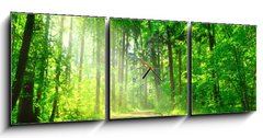 Obraz s hodinami 3D tdln - 150 x 50 cm F_BM55128524 - Waldweg mit Sonnenschein - Lesn cesta se sluncem