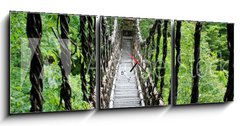 Obraz s hodinami 3D tdln - 150 x 50 cm F_BM55730314 - Pont de lianes Kazura-bashi  Oku Iya, Shikoku, Japon