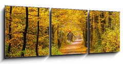 Obraz s hodinami   Autumn forest, 150 x 50 cm