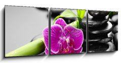 Obraz s hodinami 3D tdln - 150 x 50 cm F_BM56279364 - orchid