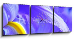 Obraz s hodinami 3D tdln - 150 x 50 cm F_BM563234 - irises