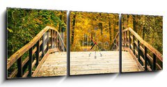 Obraz s hodinami   Bridge in autumn park, 150 x 50 cm