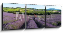 Obraz s hodinami 3D tdln - 150 x 50 cm F_BM5757066 - panoramique - Champ de lavande en Provence