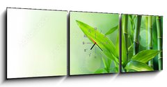 Obraz s hodinami 3D tdln - 150 x 50 cm F_BM58926337 - bamboo stalks on water