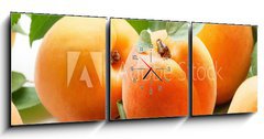 Obraz s hodinami   Fresh apricots, 150 x 50 cm