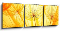 Obraz s hodinami   Dandelion, 150 x 50 cm