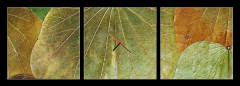Obraz s hodinami 3D tdln - 150 x 50 cm F_BM5989441 - background from natural leafs