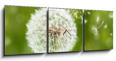 Obraz s hodinami 3D tdln - 150 x 50 cm F_BM60211614 - dandelion with flying seeds