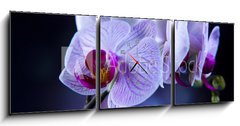 Obraz s hodinami 3D tdln - 150 x 50 cm F_BM60355807 - Beautiful orchids