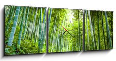 Obraz s hodinami   Bamboo forest and walkway, 150 x 50 cm