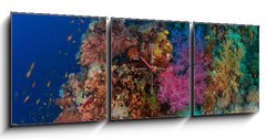 Obraz s hodinami 3D tdln - 150 x 50 cm F_BM60562168 - Coral and fish