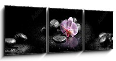 Obraz s hodinami 3D tdln - 150 x 50 cm F_BM60629892 - Horizontal panorama with pink orchids and zen stones on black ba - Horizontln panorama s rovmi orchidejemi a zenovmi kameny na ern ba