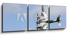 Obraz s hodinami 3D tdln - 150 x 50 cm F_BM60700500 - Mosquito in flight