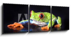 Obraz s hodinami   frog macro  a red eyed tree frog isolated on black, 150 x 50 cm