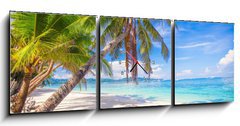 Obraz s hodinami 3D tdln - 150 x 50 cm F_BM61258659 - Coconut Palm tree on the white sandy beach - Kokosov palma na bl psen pli
