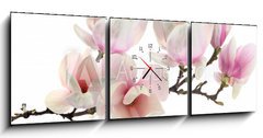 Obraz s hodinami 3D tdln - 150 x 50 cm F_BM61937427 - spring