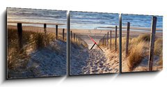 Obraz s hodinami 3D tdln - 150 x 50 cm F_BM62361988 - path to North sea beach in gold sunshine - cesta na pl severnho moe ve zlatm slunci