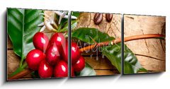 Obraz s hodinami   Coffee Plant. Red coffee beans on a branch of coffee tree, 150 x 50 cm