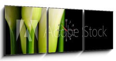 Obraz s hodinami 3D tdln - 150 x 50 cm F_BM62816341 - Beautiful white Calla lilies with reflection on black background
