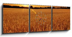 Obraz s hodinami 3D tdln - 150 x 50 cm F_BM6287668 - Field of wheat at sunset