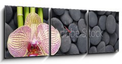 Obraz s hodinami 3D tdln - 150 x 50 cm F_BM63600469 - Gorgeous orchid and thin bamboo grove on pebbles