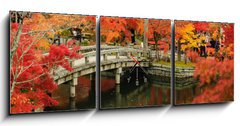 Obraz s hodinami 3D tdln - 150 x 50 cm F_BM63969080 - Autumn foliage at Eikando Temple in Kyoto, Japan - Podzimn list v chrmu Eikando v Kjtu, Japonsko