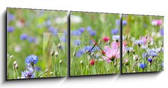 Obraz s hodinami   prairie fleurie, 150 x 50 cm