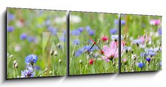 Obraz s hodinami 3D tdln - 150 x 50 cm F_BM64247730 - prairie fleurie - prrie fleurie