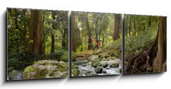 Obraz s hodinami 3D tdln - 150 x 50 cm F_BM64308418 - forest waterfall