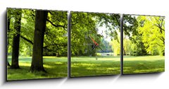 Obraz s hodinami   Lush forest, 150 x 50 cm