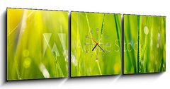 Obraz s hodinami 3D tdln - 150 x 50 cm F_BM64529085 - Fresh green grass with dew drops closeup. Soft Focus
