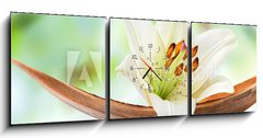 Obraz s hodinami 3D tdln - 150 x 50 cm F_BM64734050 - Beautiful white lily flower on a coco palm leaf