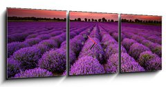 Obraz s hodinami 3D tdln - 150 x 50 cm F_BM64900250 - Stunning landscape with lavender field at sunset