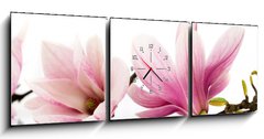 Obraz s hodinami 3D tdln - 150 x 50 cm F_BM6579047 - flowers