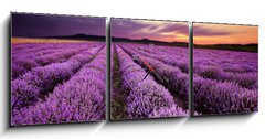 Obraz s hodinami 3D tdln - 150 x 50 cm F_BM67101822 - Sunrise in Lavender Field