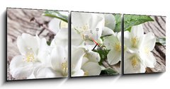 Obraz s hodinami 3D tdln - 150 x 50 cm F_BM67481139 - Jasmine flowers over old wooden table.