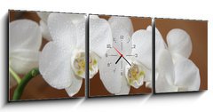 Obraz s hodinami   orchidea, 150 x 50 cm